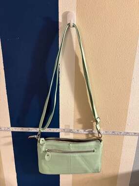 Befen Mint Green Pebbled Leather Crossbody Wallet Purse